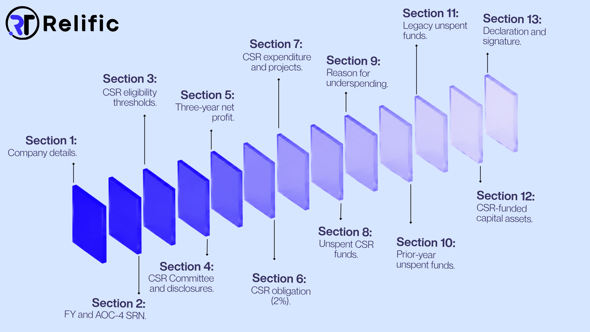 The 13 Sections of Form CSR-2, Explained.